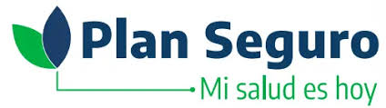 Planseguro